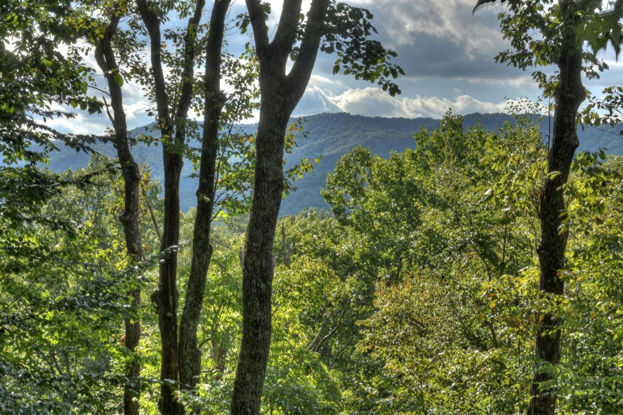 Bearfoot Ridge Wood-Burning Fireplace Cozy Hot Tub Serene Views Ellijay Kültér fotó